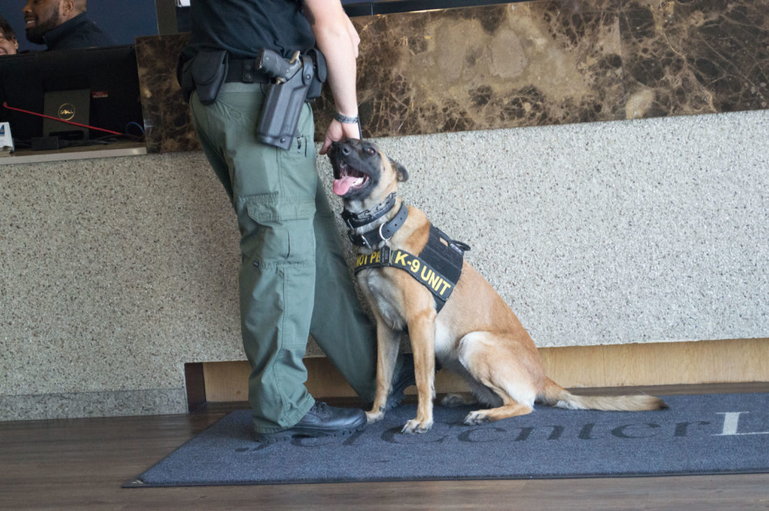 Taking a Private Jet to Play Cards in the Bay Area - A Poor Man\u0026#39;s Experience with Shared Private ...