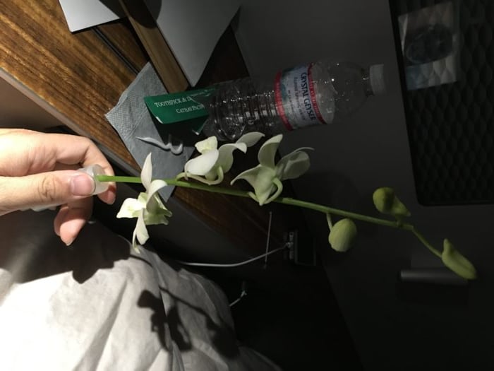 調戲一下這個花，看起來好像假花，其實是真的耶…… 