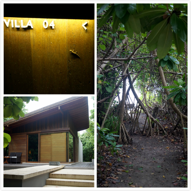 villa_outside